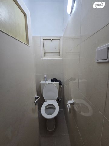 דירה, מוהליבר, רמב"ם, ראשון לציון