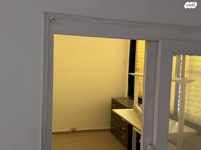 דירה, מוהליבר, רמב"ם, ראשון לציון