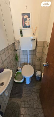 דירה, טשרניחובסקי, כרמל צרפתי, חיפה