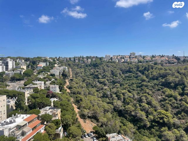 גג/ פנטהאוז, ליונל ווטסון 2, רמת בגין, חיפה