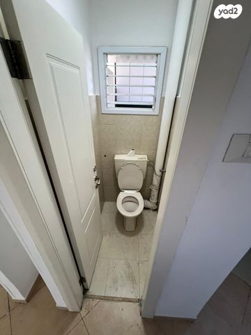 דירה, יהודה הלוי, בן גוריון, אשקלון