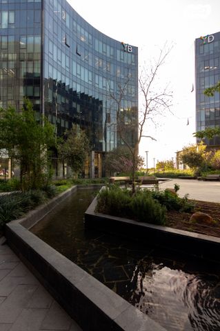 משרדים, פרופ' אברהם פצ'ורניק, נס ציונה