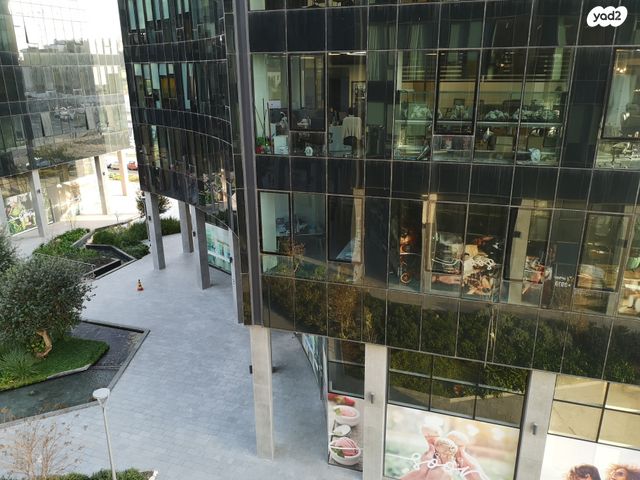 משרדים, פרופ' אברהם פצ'ורניק, נס ציונה