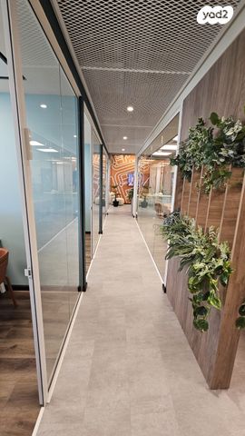 משרדים, שארית ישראל, צפון יפו, המושבה האמריקאית-גרמנית, תל אביב יפו