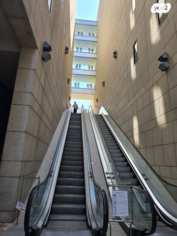 שדרות הפלי"ם 