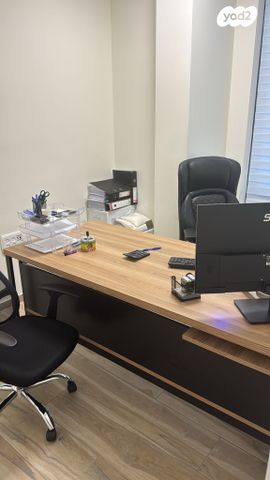 משרדים, פרופ' אברהם פצ'ורניק, נס ציונה