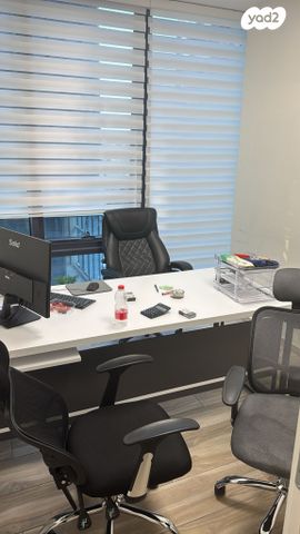 משרדים, פרופ' אברהם פצ'ורניק, נס ציונה