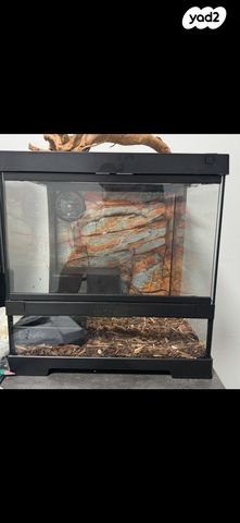 תמונת מודעה - חיות מחמד