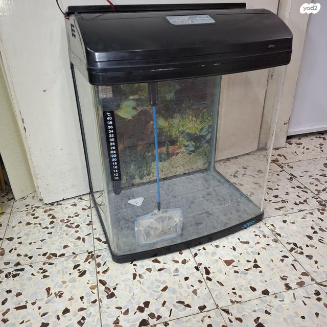 תמונת מודעה - חיות מחמד