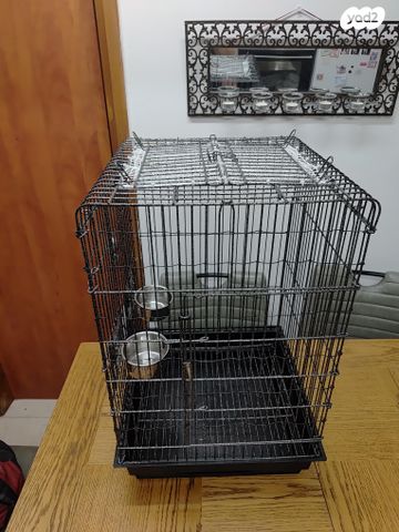 תמונת מודעה - חיות מחמד