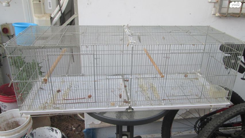 תמונת מודעה - חיות מחמד