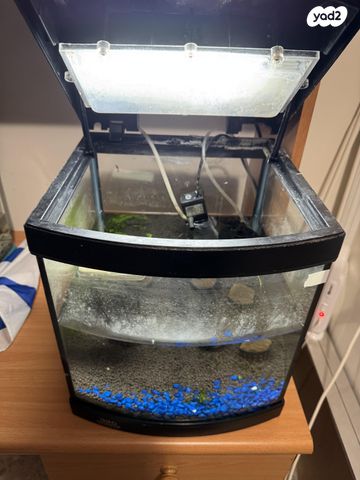 תמונת מודעה - חיות מחמד