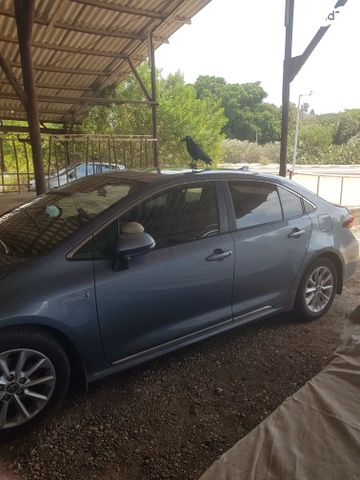 טויוטה קורולה