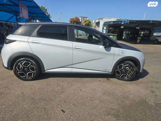 בי.ווי.די דולפין