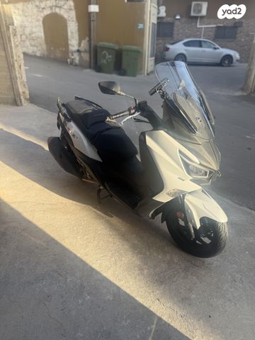 סאן יאנג ג'וי-מקס Z-300