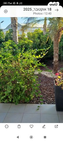 בית פרטי/ קוטג', יהושע בן נון 21, שפירא, אופקים