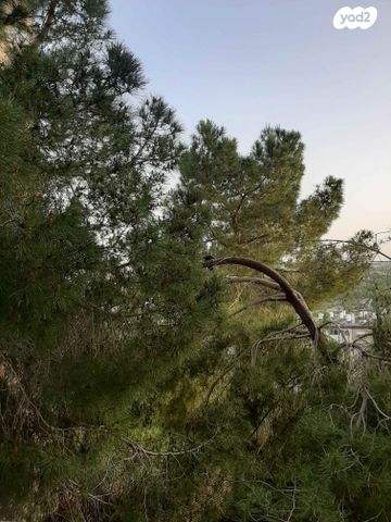 דירה, ברזיל 102, קרית היובל, ירושלים
