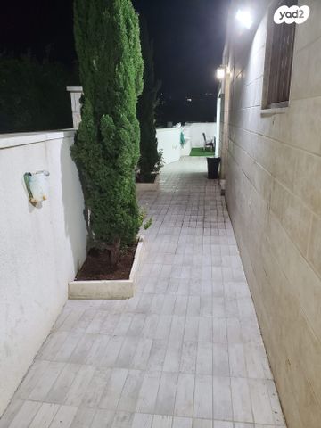 שבט בנימין 47