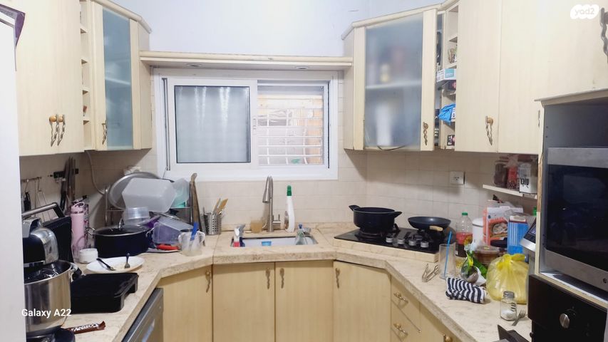 זאב טיומקין 13