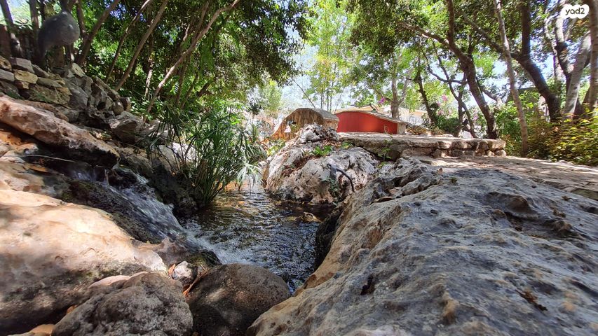 משק חקלאי/ נחלה, האגוז 2, שומרה, שומרה