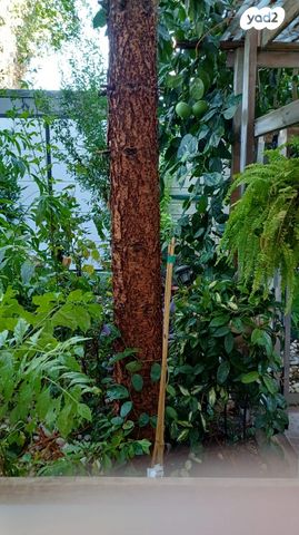 דירת גן, בני עקיבא 3, גן הורדים, אשקלון