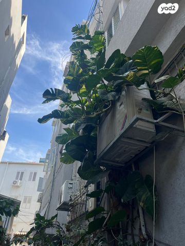 גג/ פנטהאוז, העלייה 31, נווה שאנן, תל אביב יפו