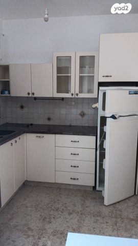 שתילי הזית 4