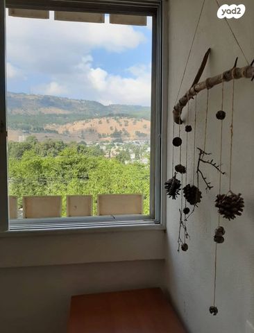 יוסף שפרינצק 304