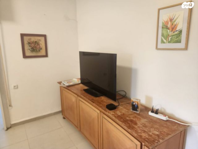 שושנת הכרמל 11