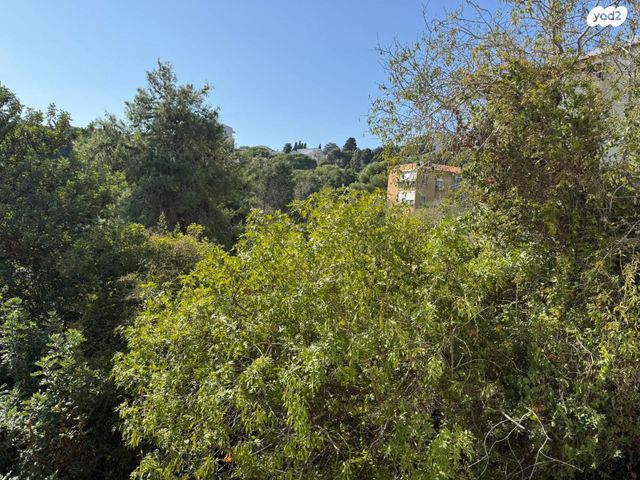 דירה, יוכבד, נעמ"ת, חיפה