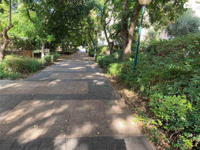 דירה, כפר סבא