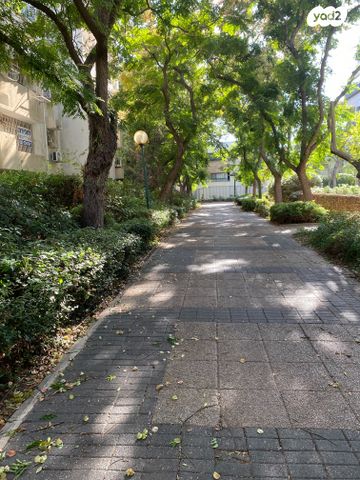 דירה, כפר סבא