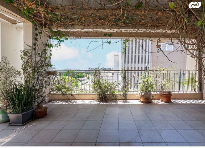 דופלקס, הראשונים, כפר סבא