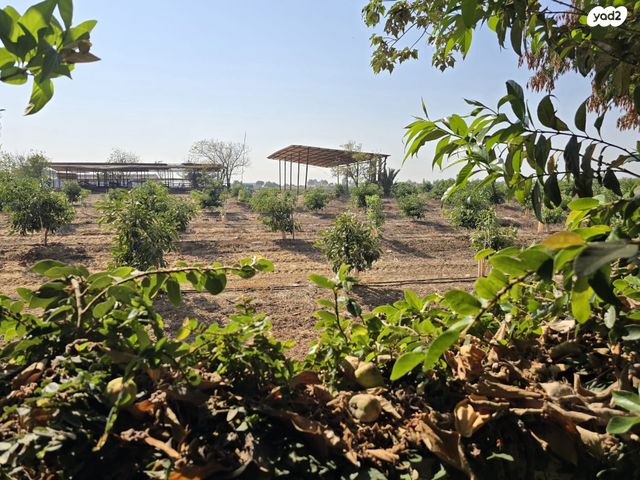 בית פרטי/ קוטג', ביצרון