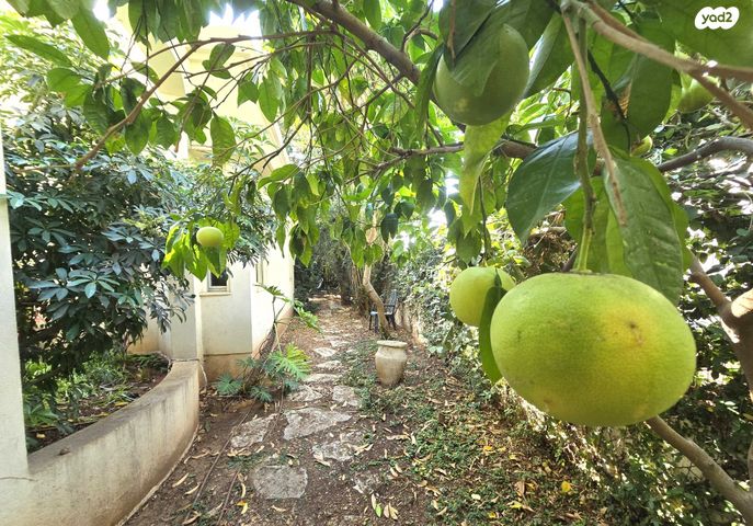 בית פרטי/ קוטג', ביצרון