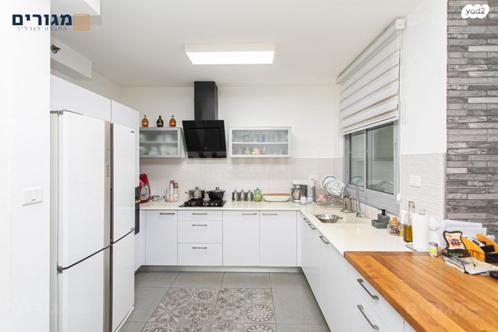 דירת גן, דולפין, טירת כרמל