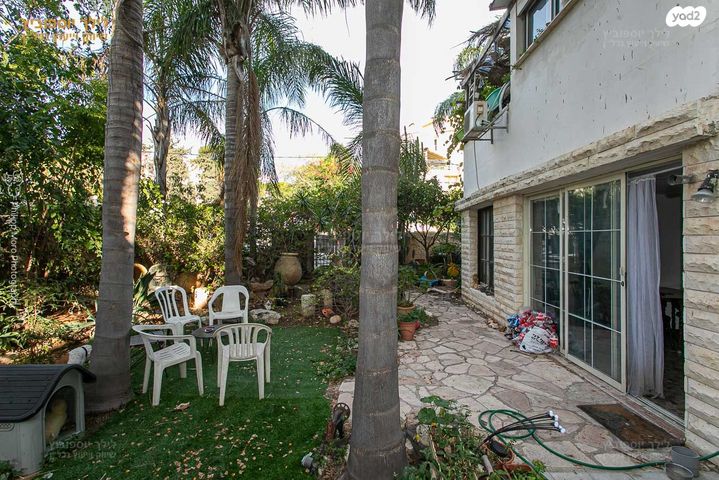 טריפלקס, רות, כרמליה, חיפה