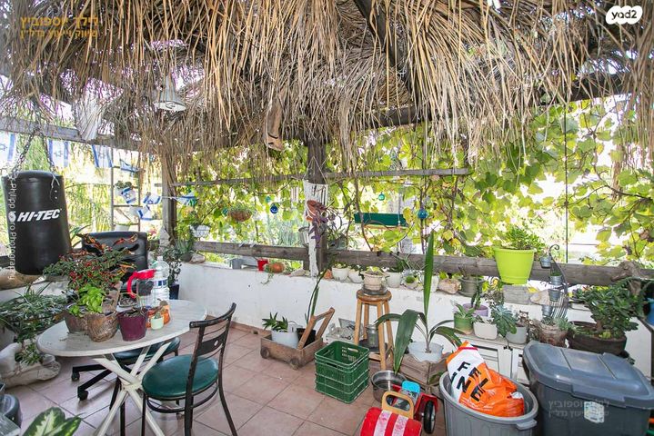 טריפלקס, רות, כרמליה, חיפה