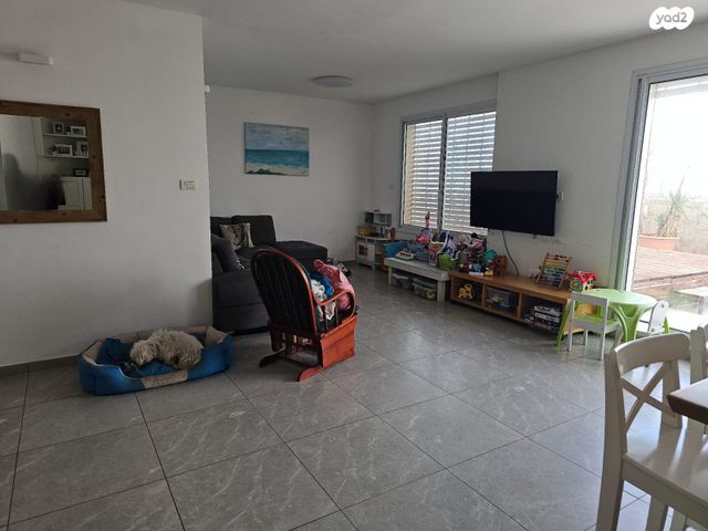 גג/ פנטהאוז, שדרות גולדה מאיר 21, קרית נורדאו, נתניה