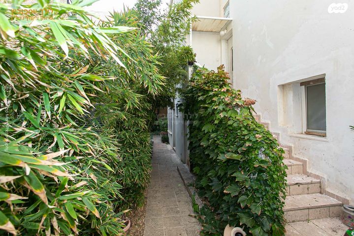 טריפלקס, רות, כרמליה, חיפה