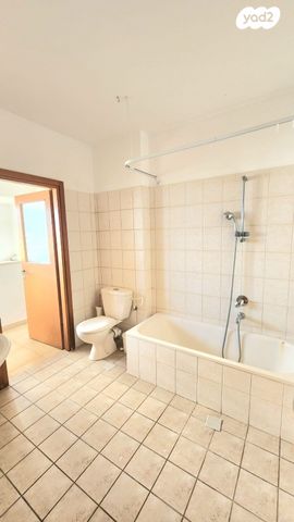 דירה, כרמל, אחוזת הנשיא, רחובות