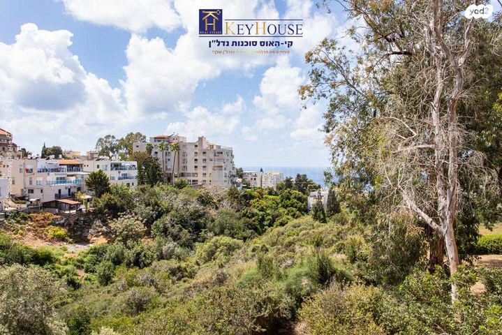 דירה, קרית שפרינצק, חיפה