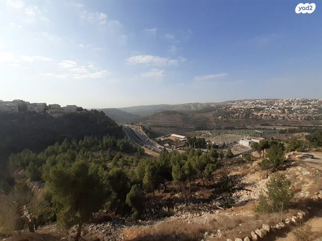 דירה, הרב סורוצקין, הקריות החסידיות, ירושלים