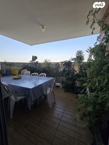 דירה, נעמי שמר, כרמי גת, קרית גת