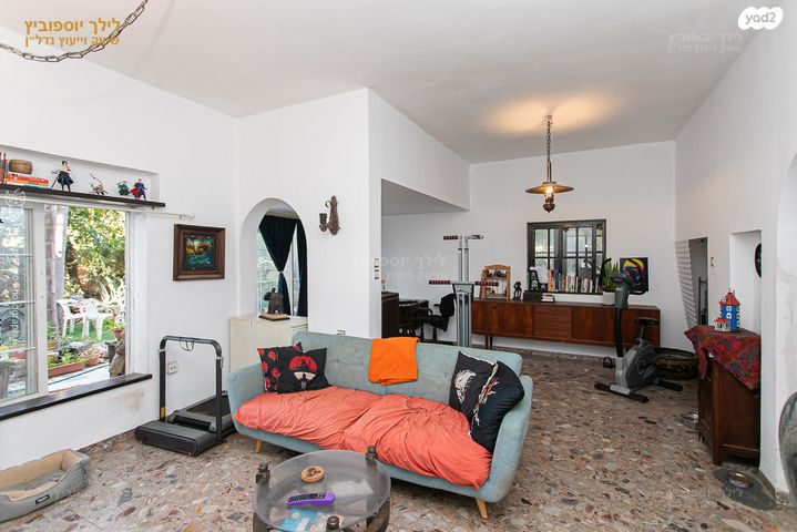 טריפלקס, רות, כרמליה, חיפה