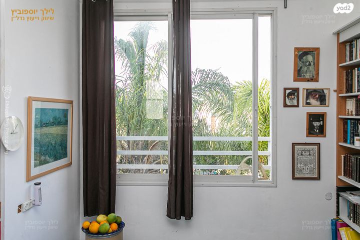 טריפלקס, רות, כרמליה, חיפה