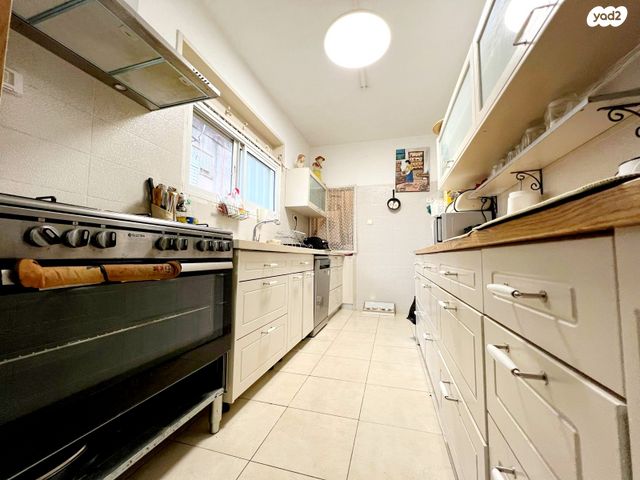 יהושע חנקין 28