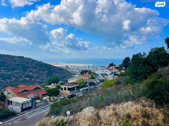 הוד הכרמל, דניה