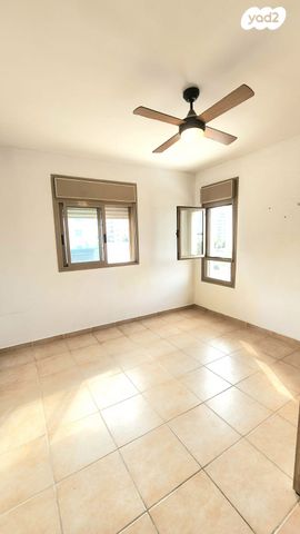 דירה, כרמל, אחוזת הנשיא, רחובות