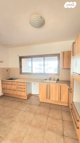 דירה, כרמל, אחוזת הנשיא, רחובות